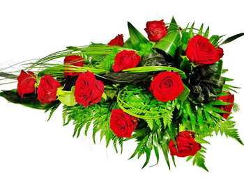 Bēru &scaron;trauss Nr.8