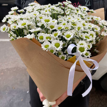 Krizantēmu pu&scaron;ķis Santini