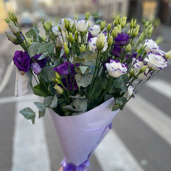 Lizantes mix ar eikaliptu