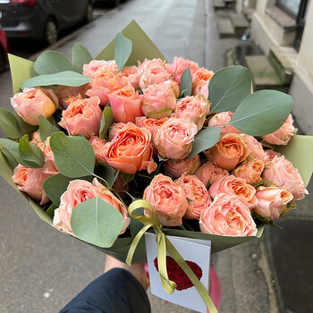 Peonijveida krūmrozes dekoratīvā iepakojumā