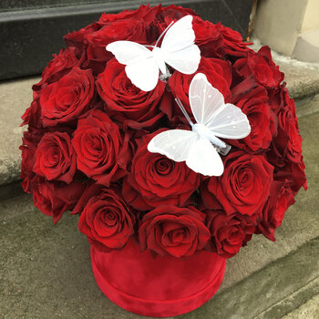 Sarkanas rozes apaļā kastē ar tauriņiem