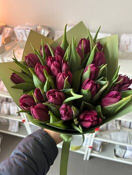 Tum&scaron;i violetu tulpju pu&scaron;ķis