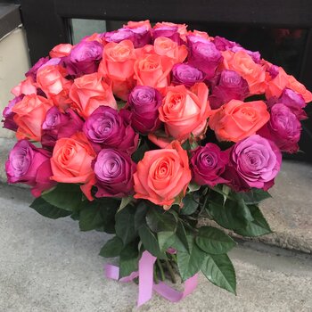 51 la&scaron;a krāsas un violetas rozes