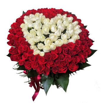 Rožu sirds 151 roze