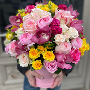 Ziedu Kastīte spilgtās, saulainās krāsās