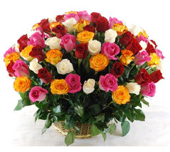 101 dažādu krāsu roze grozā