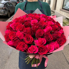 51 sarkana un aveņu krāsas roze