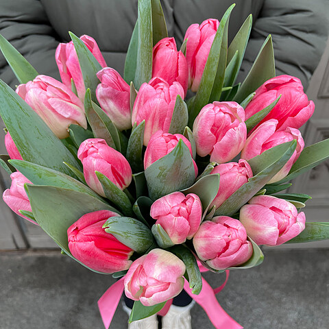 Rozā tulpes