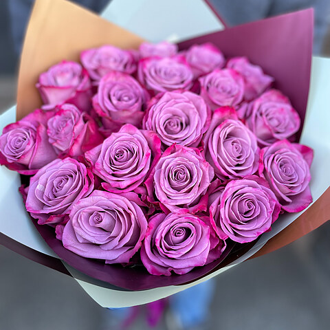 Violetas rozes dekoratīvā iepakojumā