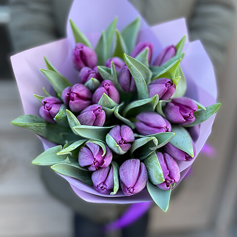Violetas tulpes dekoratīvā iepakojumā