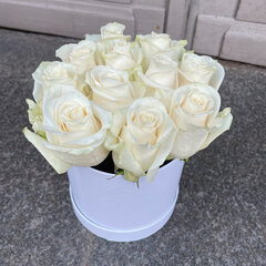 Baltas rozes apaļā kastītē