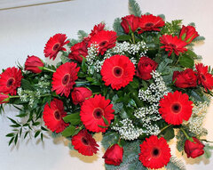 Bēru &scaron;trauss Nr. 3