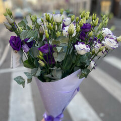 Lizantes mix ar eikaliptu