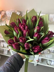 Tum&scaron;i violetu tulpju pu&scaron;ķis