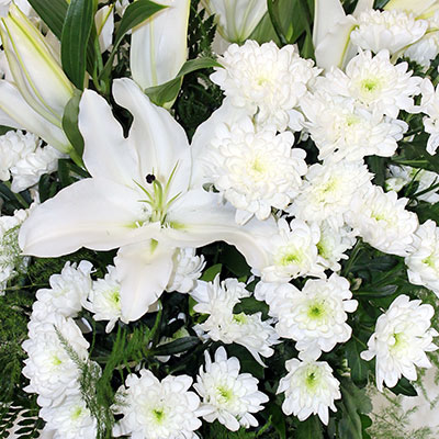 Flowers by Rīgas Ziedi