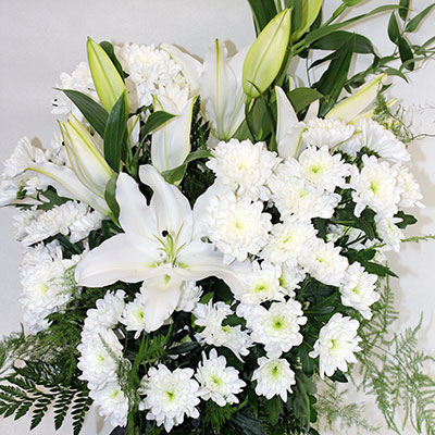 Flowers by Rīgas Ziedi